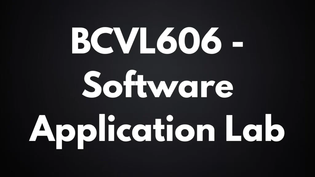 Software Application Lab